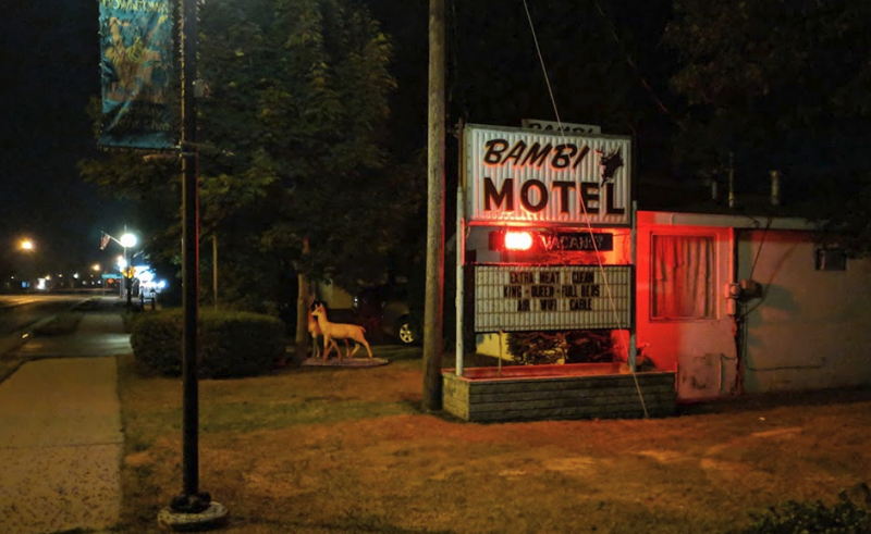 Bambi Motel - Web Site Photo (newer photo)